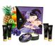 Подарунковий набір Shunga Geishas Secrets – Exotic Fruits для розкішної ночі вдвох